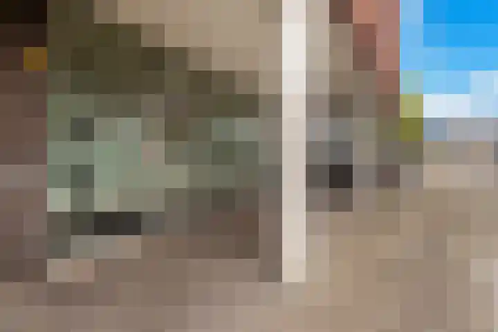 P.S. Gerbrandystraat 14 Papendrecht thumbnail 5