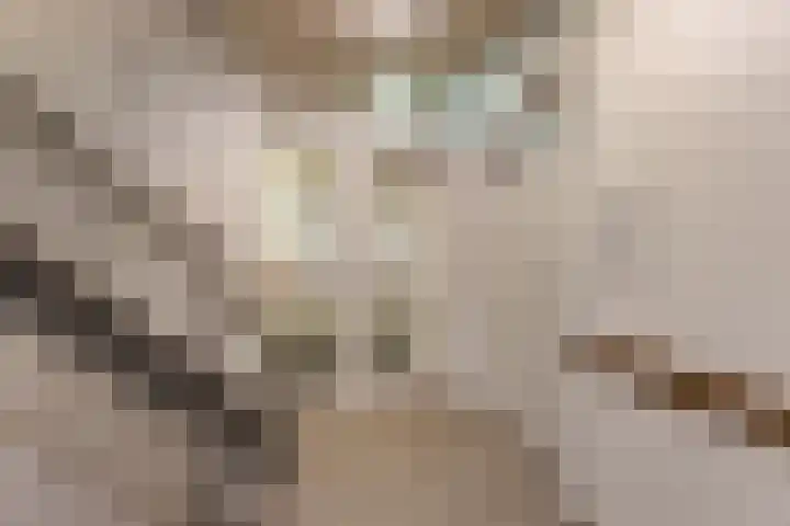 P.S. Gerbrandystraat 14 Papendrecht thumbnail 7