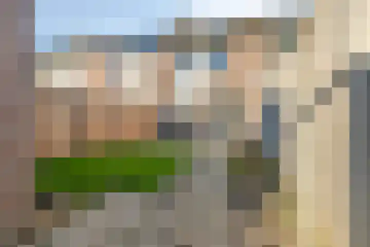 P. van Anrooystraat 14 Spijkenisse thumbnail 11