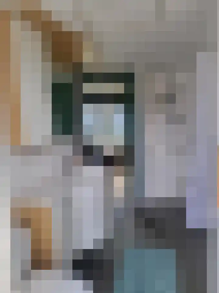 P van Houtlaan 28 Oostvoorne thumbnail 14
