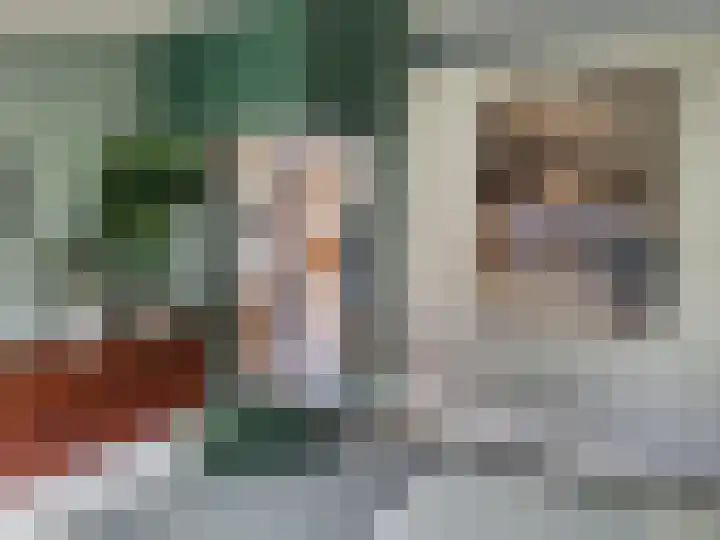 P van Houtlaan 28 Oostvoorne thumbnail 15