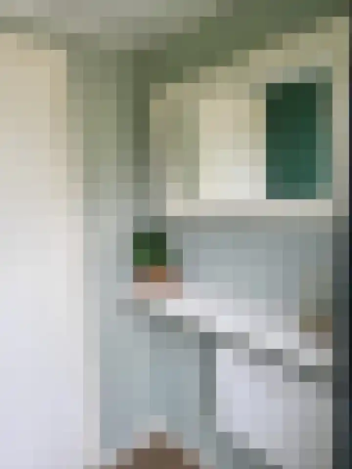 P van Houtlaan 28 Oostvoorne thumbnail 19