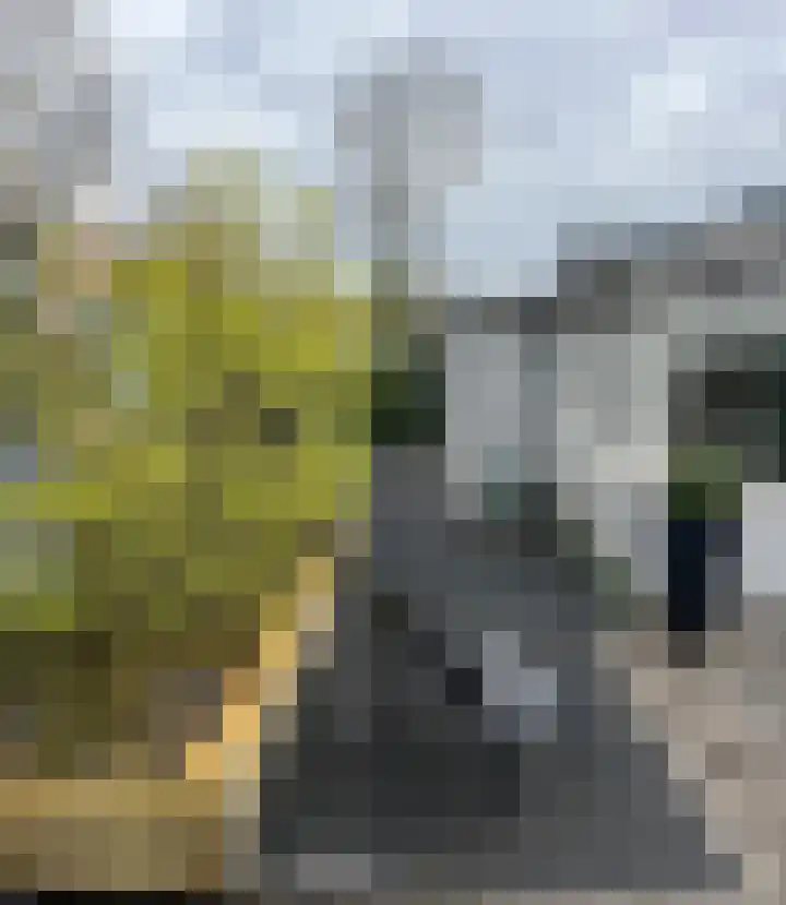 P van Houtlaan 28 Oostvoorne thumbnail 21