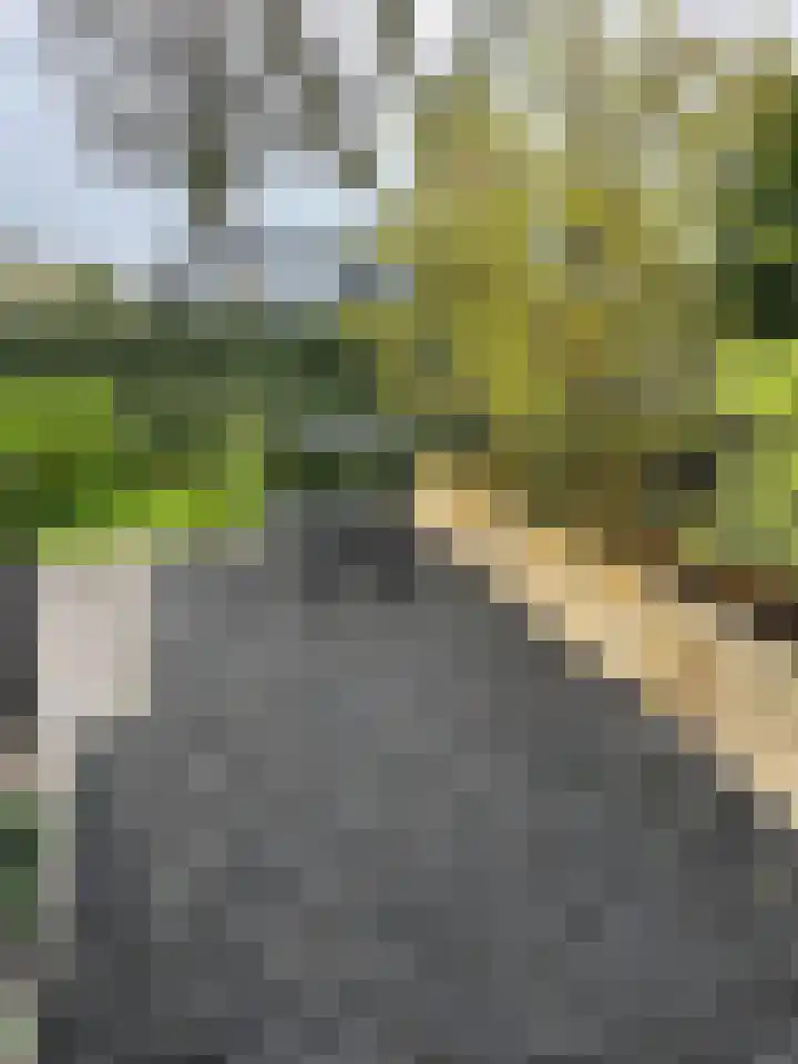 P van Houtlaan 28 Oostvoorne thumbnail 22