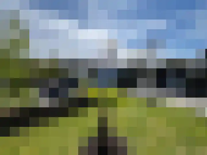 P van Houtlaan 28 Oostvoorne thumbnail 24