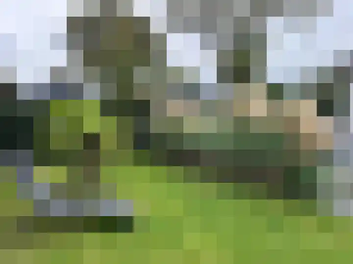 P van Houtlaan 28 Oostvoorne thumbnail 27