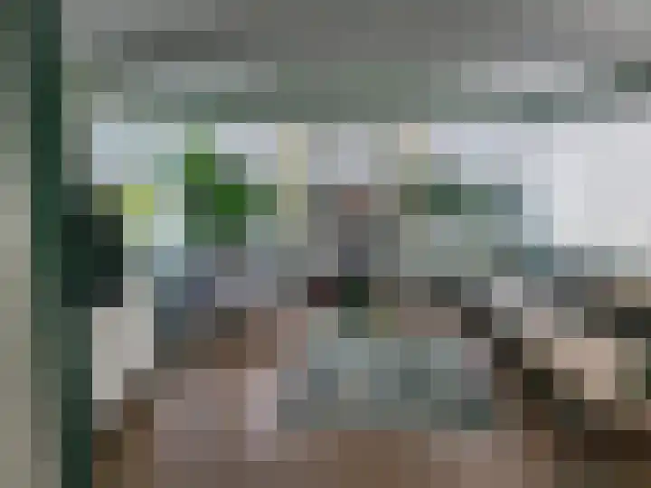 P van Houtlaan 28 Oostvoorne thumbnail 7