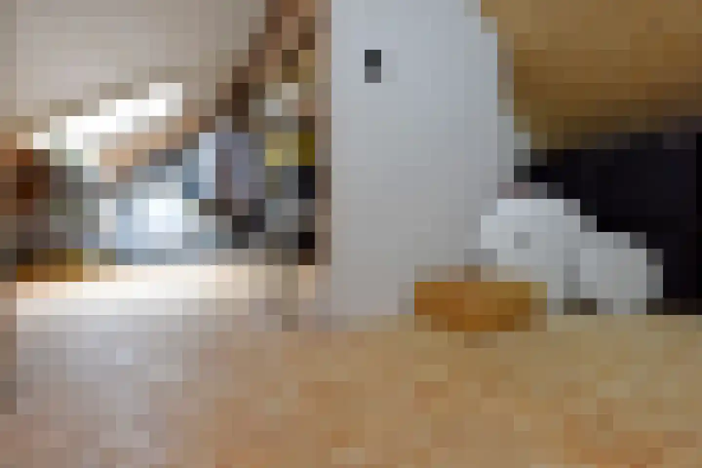 P. van Schravendijkstraat 24 Ter Aar thumbnail 18