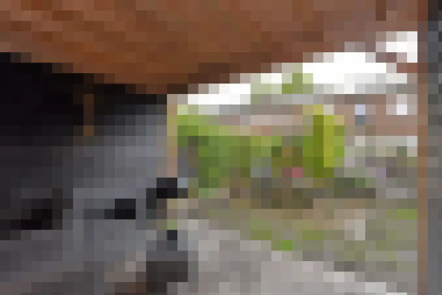 P. van Schravendijkstraat 24 Ter Aar thumbnail 20