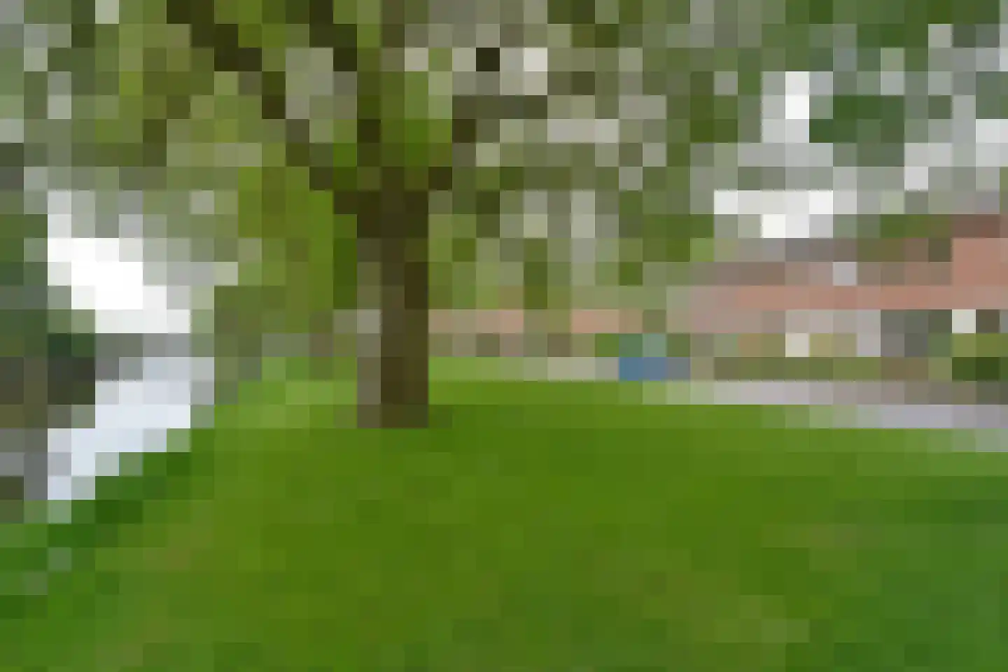P. van Schravendijkstraat 24 Ter Aar thumbnail 25