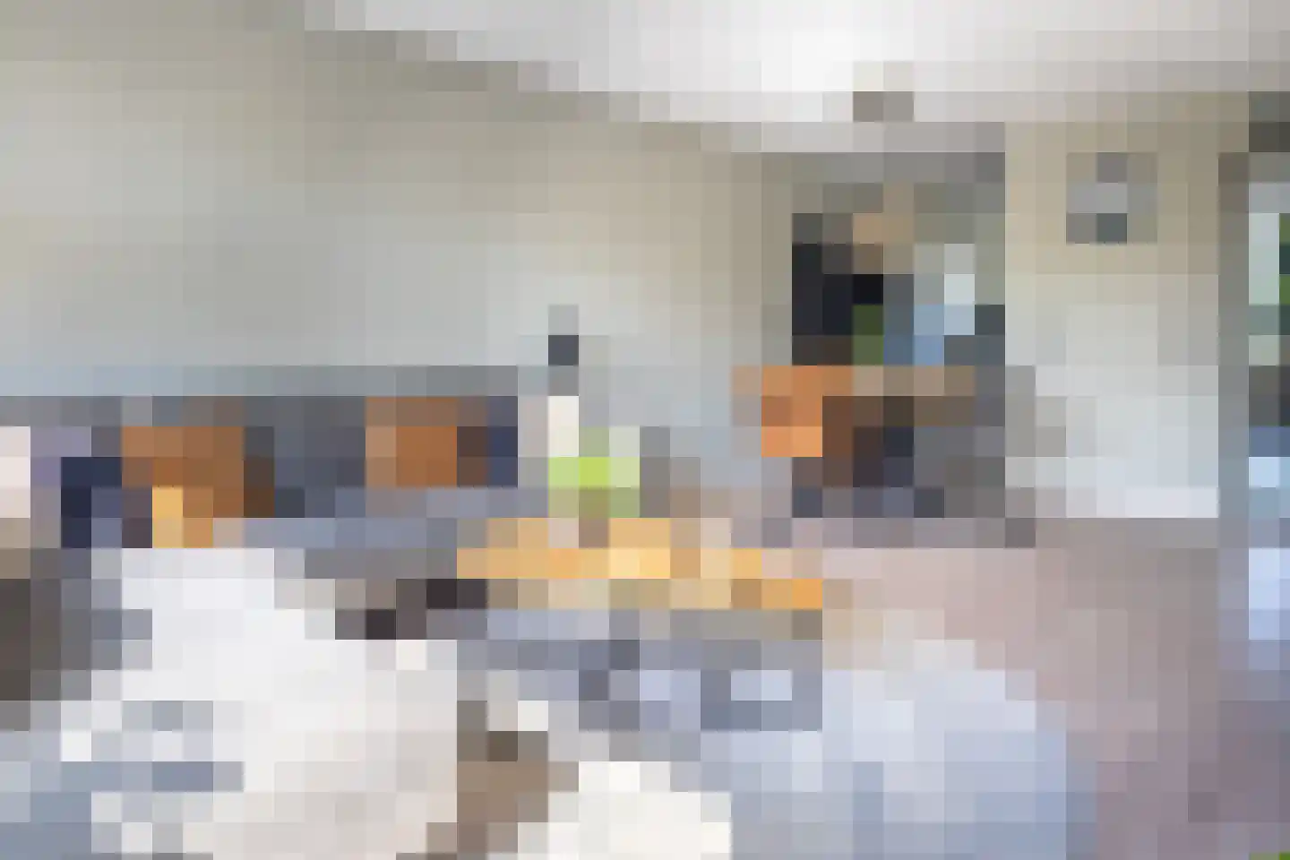 P. van Schravendijkstraat 52 Ter Aar thumbnail 5