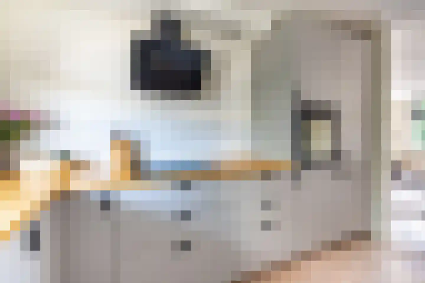 P. van Schravendijkstraat 52 Ter Aar thumbnail 8