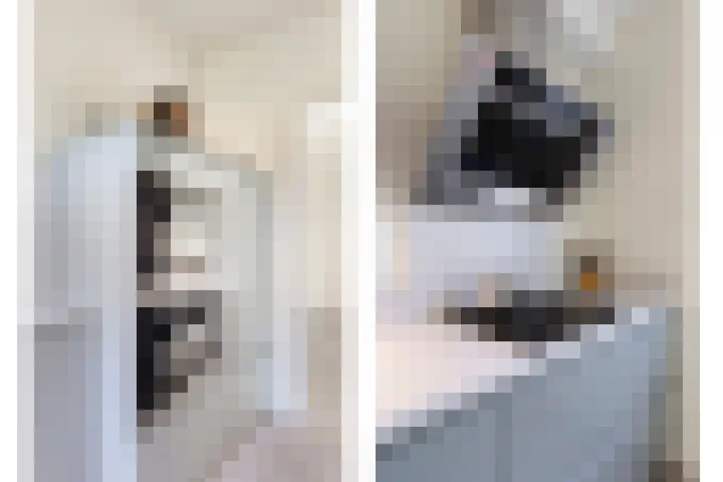 P van Vollenhovenlaan 11 Vorden thumbnail 11