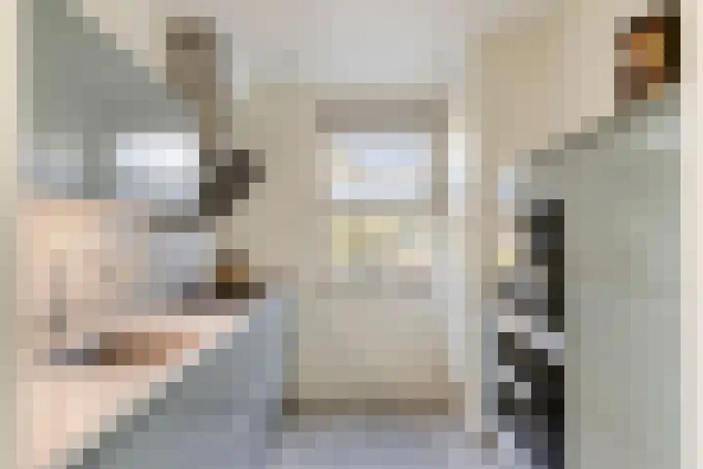 P van Vollenhovenlaan 11 Vorden thumbnail 12