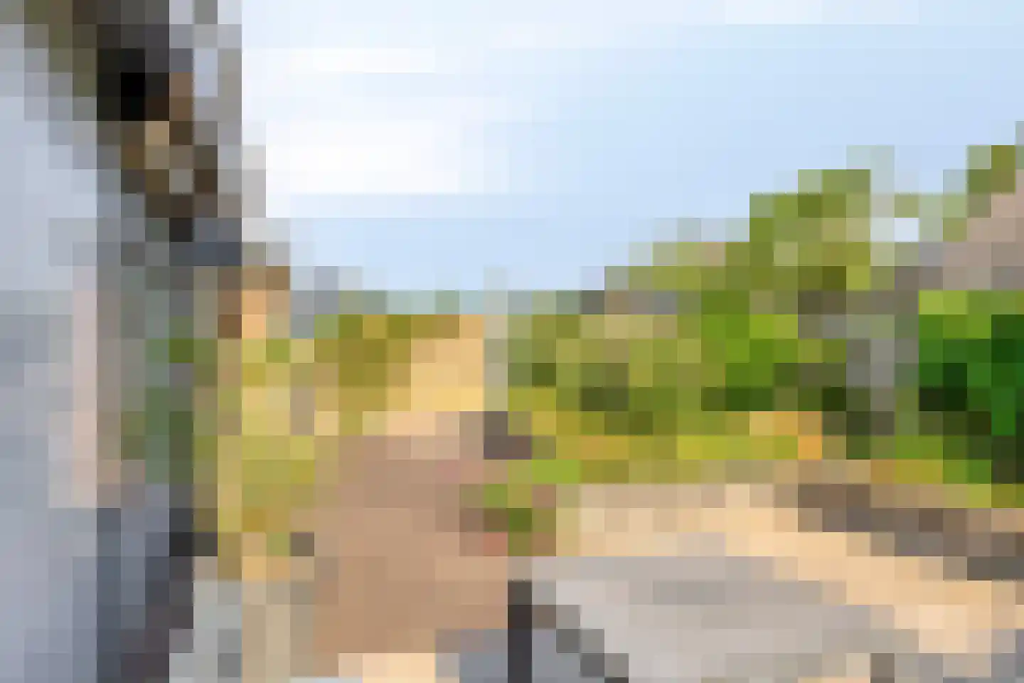P van Vollenhovenlaan 11 Vorden thumbnail 23