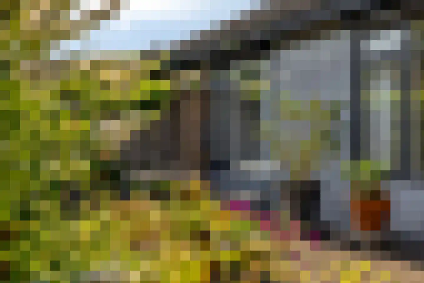 P van Vollenhovenlaan 11 Vorden thumbnail 24