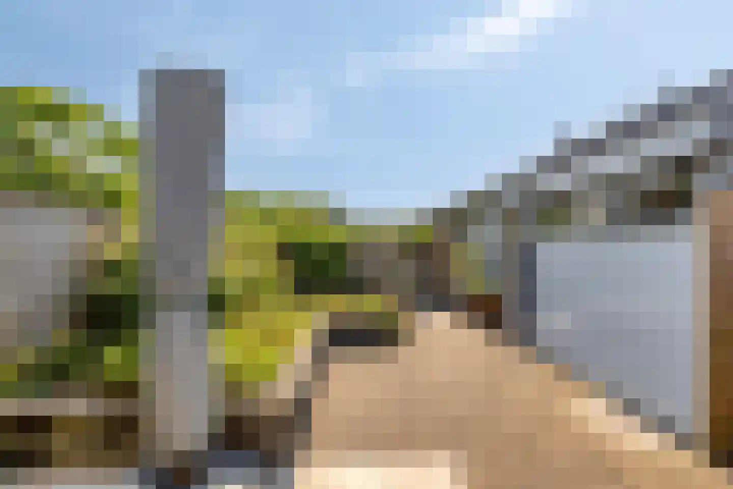 P van Vollenhovenlaan 11 Vorden thumbnail 25