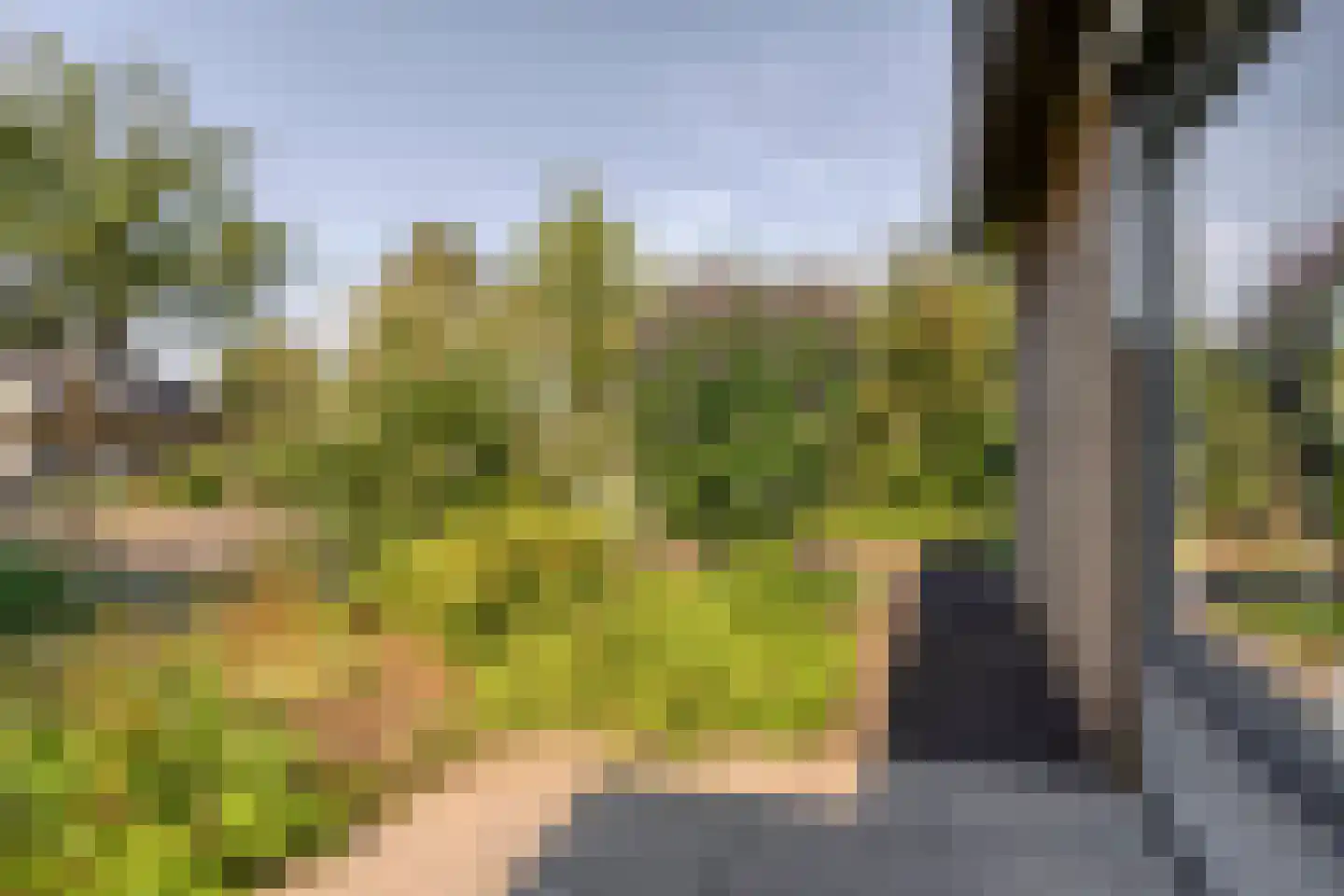 P van Vollenhovenlaan 11 Vorden thumbnail 29