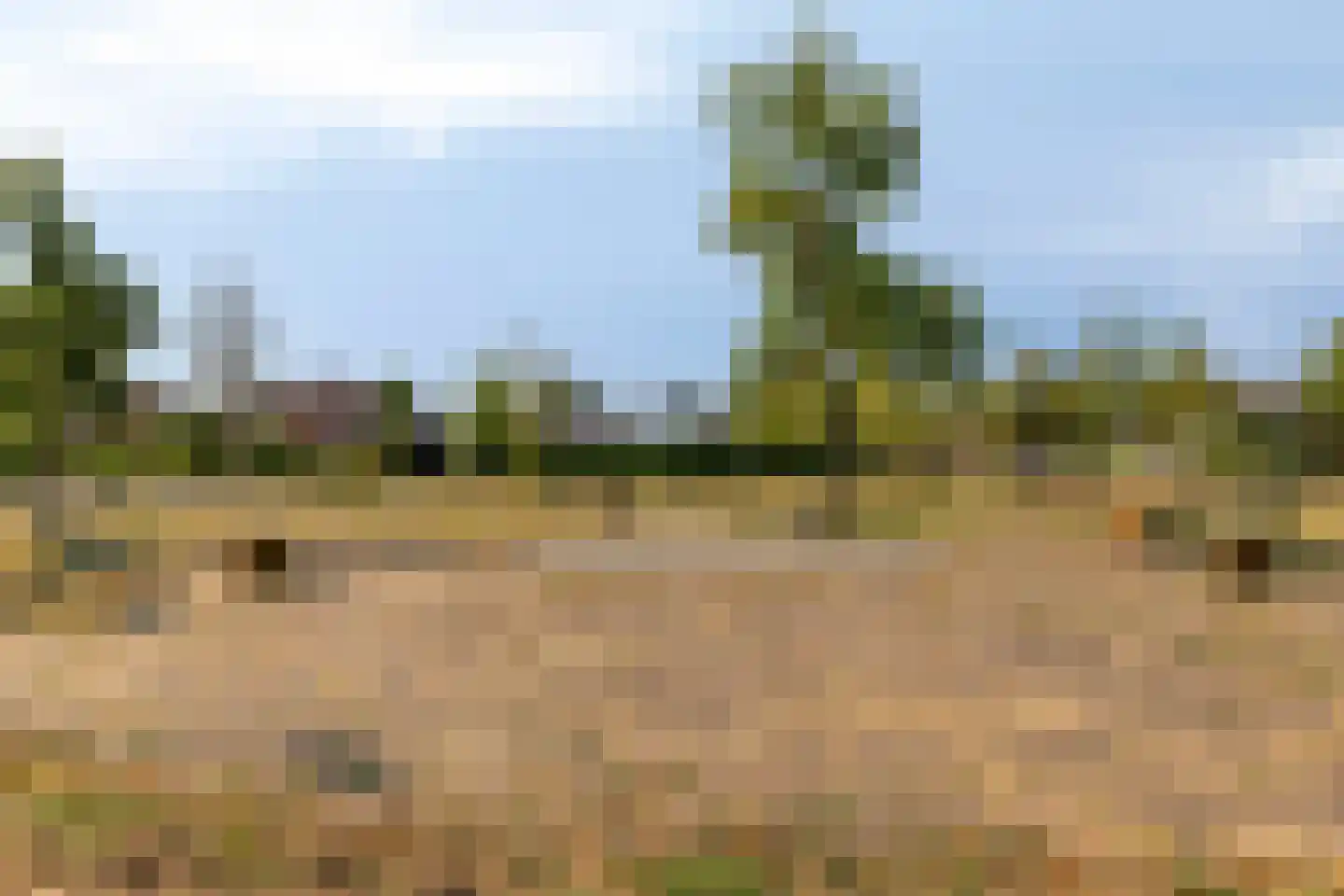 P van Vollenhovenlaan 11 Vorden thumbnail 31