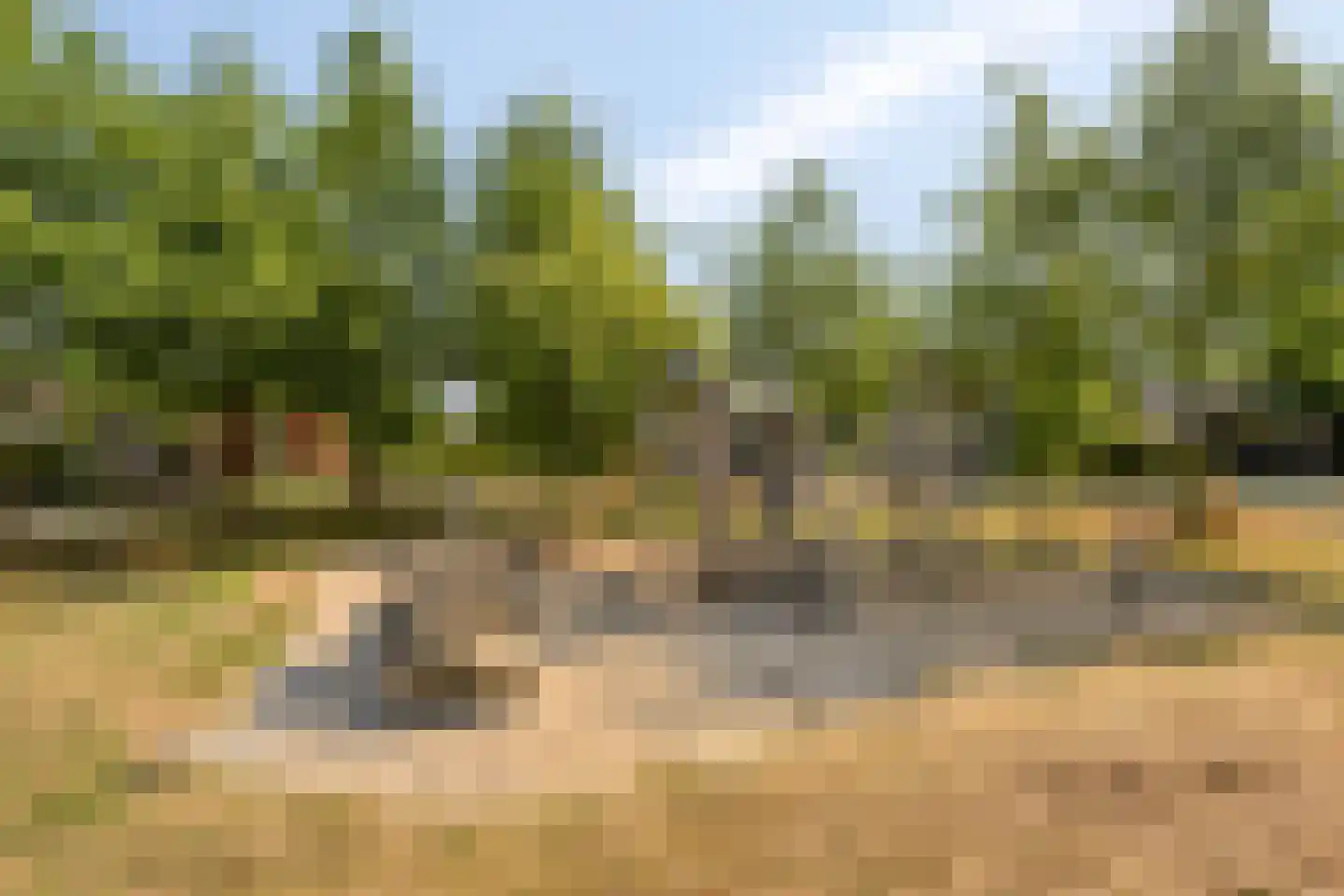 P van Vollenhovenlaan 11 Vorden thumbnail 32
