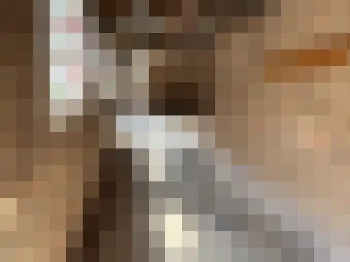 P. van Zoonenstraat 19 Winkel thumbnail 13