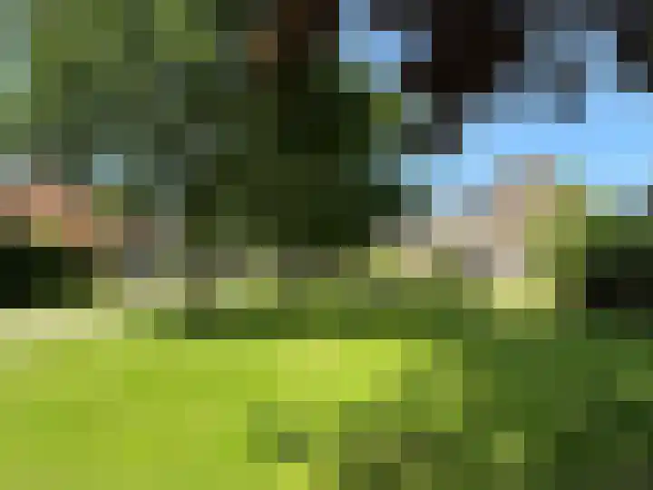 P. van Zoonenstraat 19 Winkel thumbnail 4