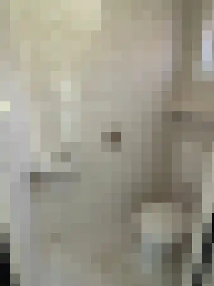 P. van Zoonenstraat 3 Winkel thumbnail 12