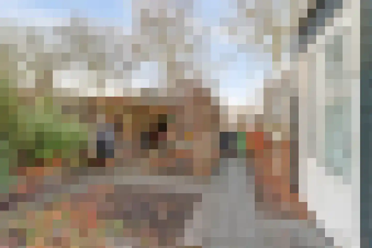 P.W.A.Cort van der Lindenstraat 2 Harlingen thumbnail 20