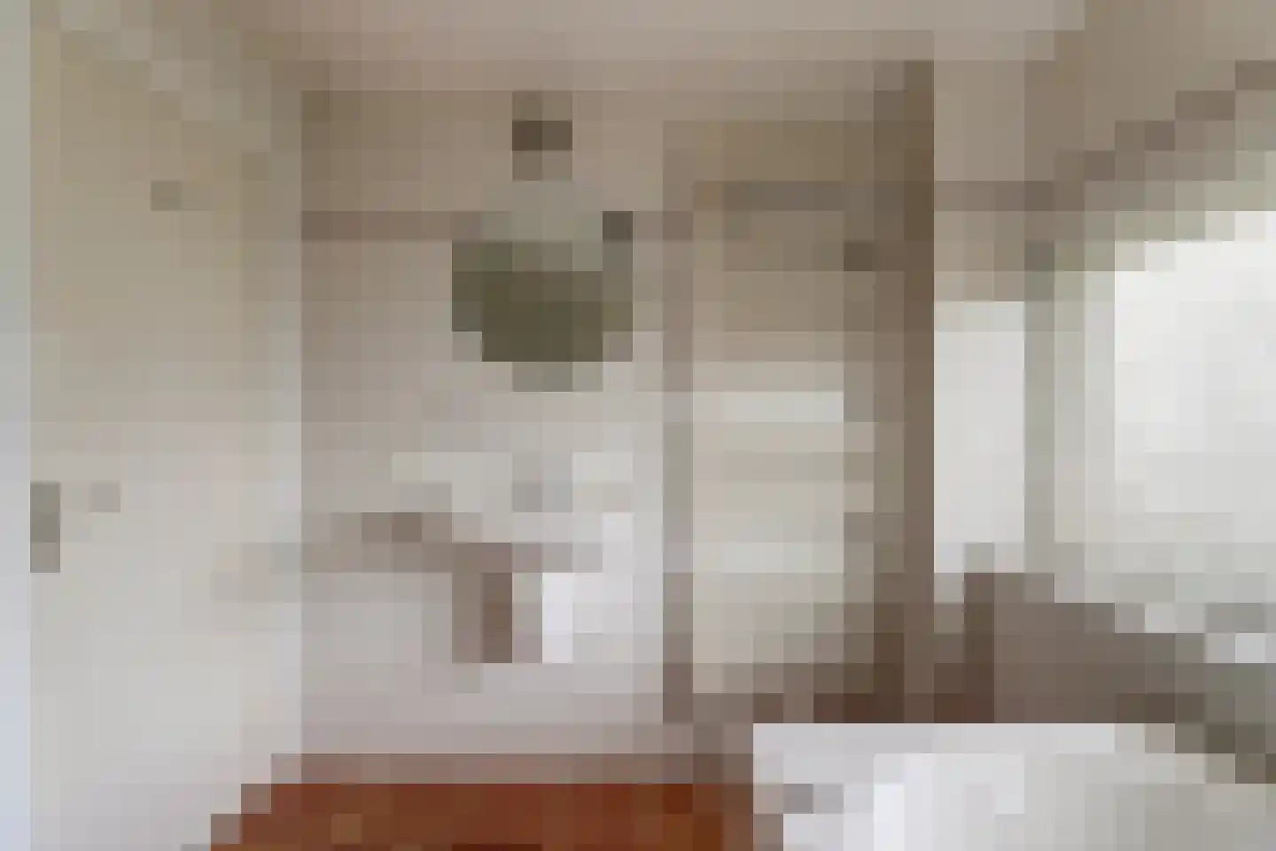 P.W.A.Cort van der Lindenstraat 87 Harlingen thumbnail 21