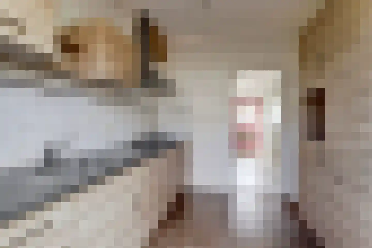 P.W.A.Cort van der Lindenstraat 87 Harlingen thumbnail 8