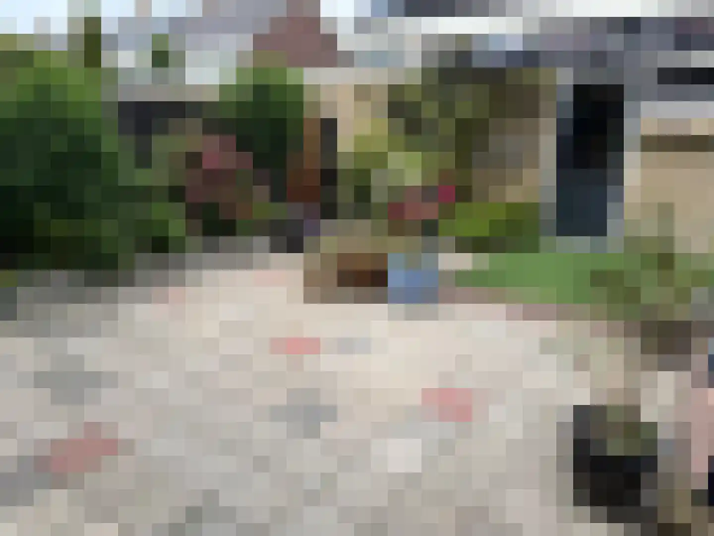 P.W.A.Cort van der Lindenstraat 95 Harlingen thumbnail 13