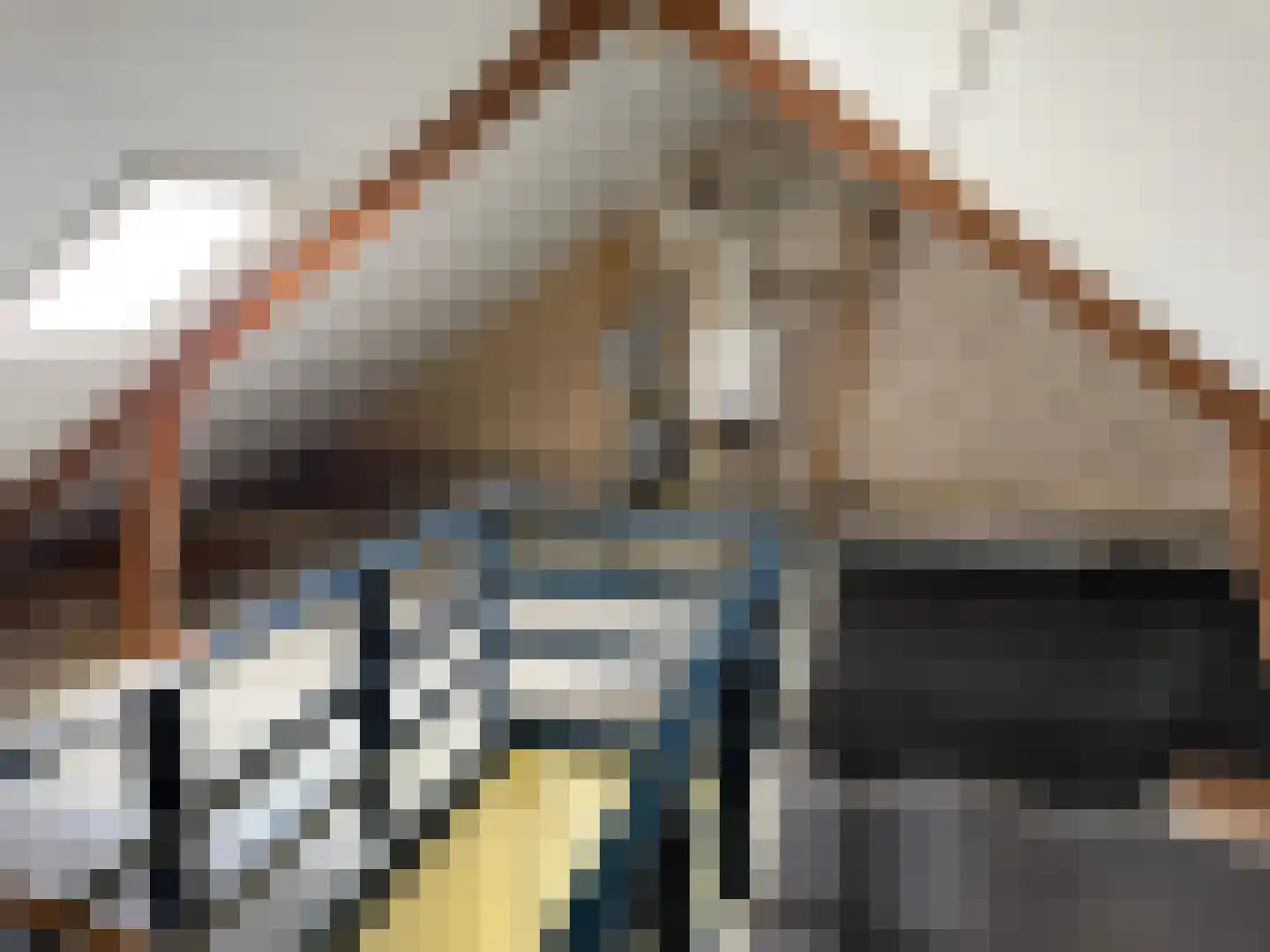 P.W.A.Cort van der Lindenstraat 95 Harlingen thumbnail 15