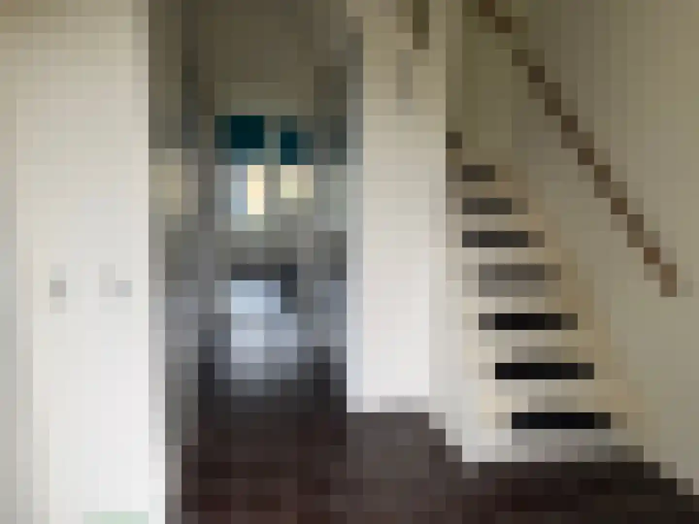 P.W.A.Cort van der Lindenstraat 95 Harlingen thumbnail 5