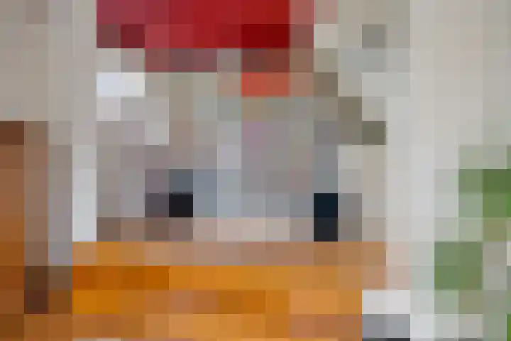 P.W. Janssenlaan 28 Vledderveen thumbnail 10