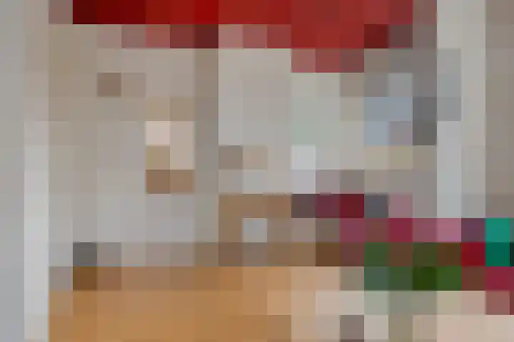 P.W. Janssenlaan 28 Vledderveen thumbnail 11