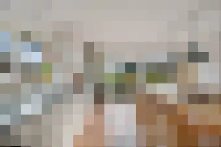 P.W. Janssenlaan 28 Vledderveen thumbnail 12
