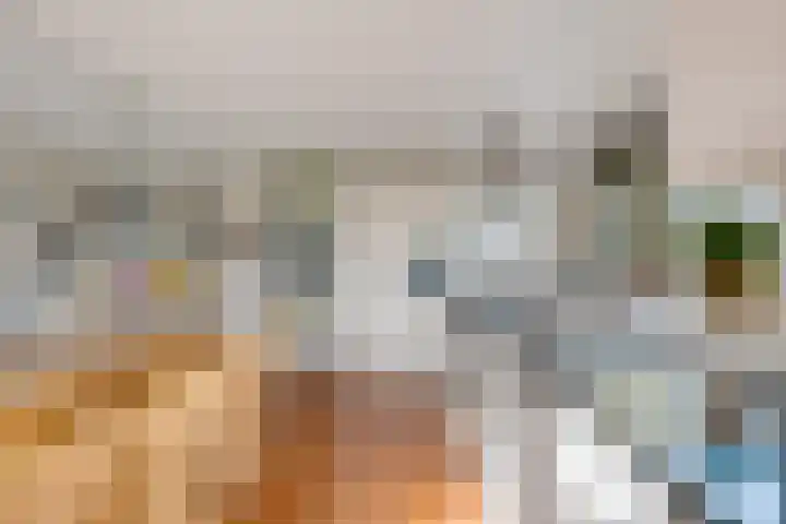 P.W. Janssenlaan 28 Vledderveen thumbnail 13