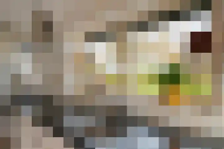 P.W. Janssenlaan 28 Vledderveen thumbnail 14