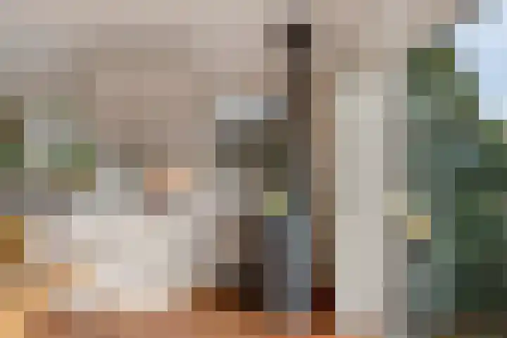 P.W. Janssenlaan 28 Vledderveen thumbnail 15