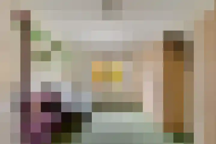P.W. Janssenlaan 28 Vledderveen thumbnail 18