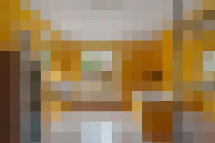 P.W. Janssenlaan 28 Vledderveen thumbnail 19