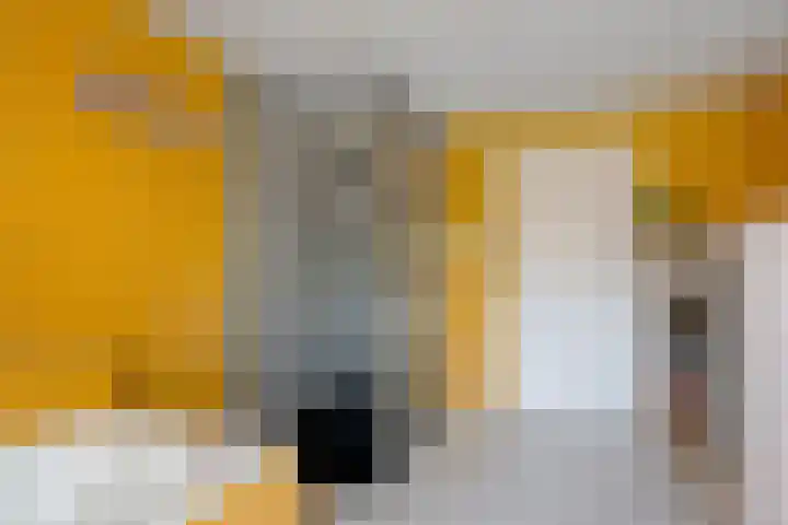 P.W. Janssenlaan 28 Vledderveen thumbnail 20