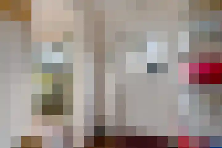 P.W. Janssenlaan 28 Vledderveen thumbnail 22