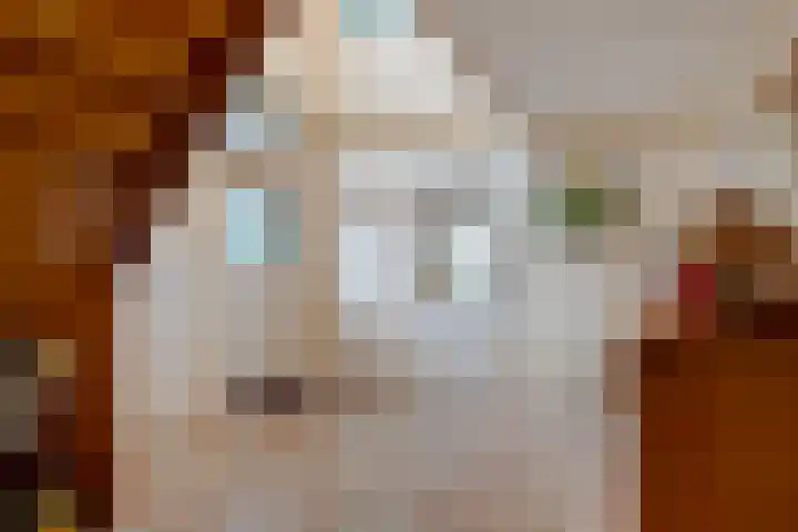 P.W. Janssenlaan 28 Vledderveen thumbnail 23