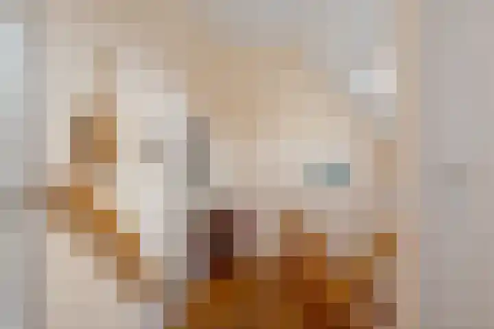 P.W. Janssenlaan 28 Vledderveen thumbnail 25