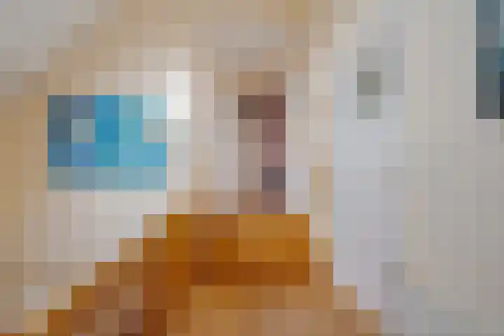 P.W. Janssenlaan 28 Vledderveen thumbnail 26