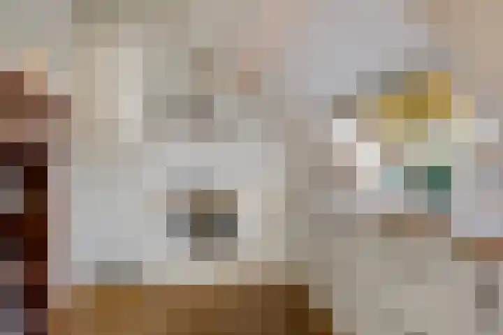 P.W. Janssenlaan 28 Vledderveen thumbnail 29