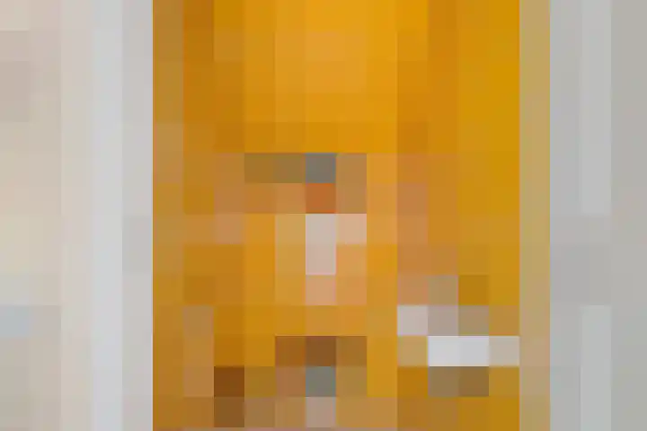 P.W. Janssenlaan 28 Vledderveen thumbnail 33
