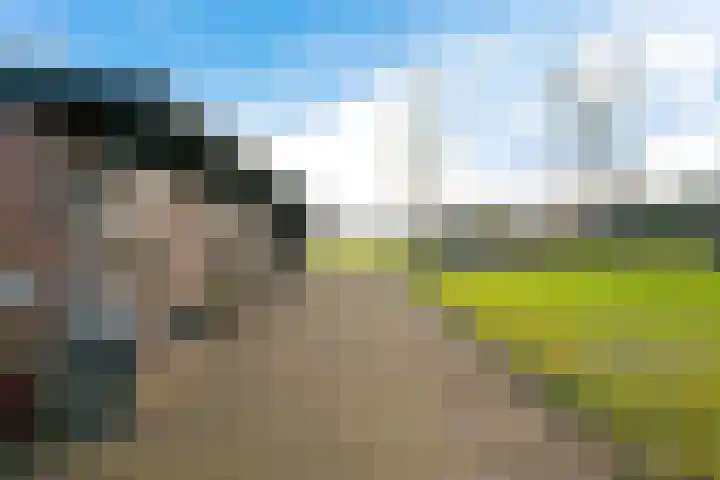 P.W. Janssenlaan 28 Vledderveen thumbnail 36