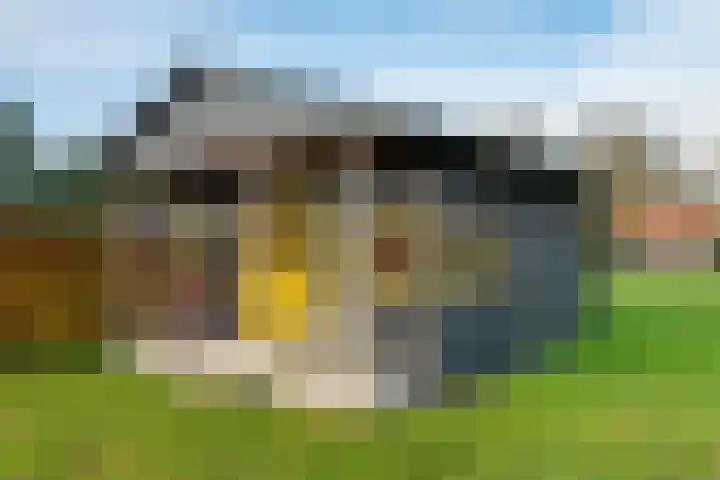 P.W. Janssenlaan 28 Vledderveen thumbnail 39